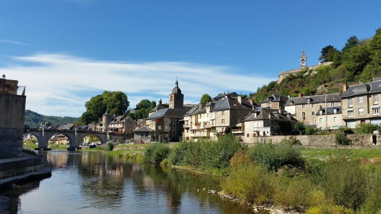 Chateau Ricard Saint-Geniez-dʼOlt Exterior foto