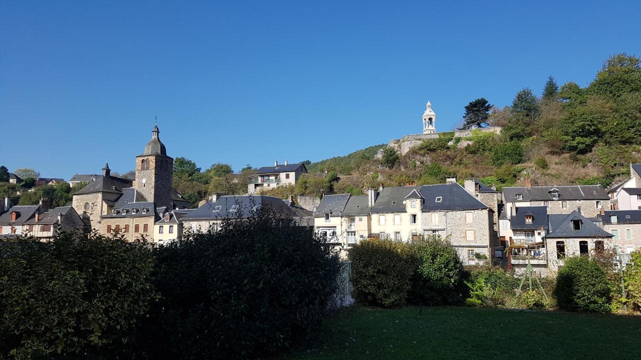Chateau Ricard Saint-Geniez-dʼOlt Exterior foto