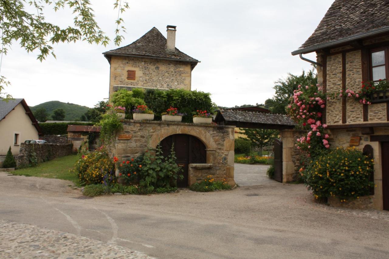 Chateau Ricard Saint-Geniez-dʼOlt Exterior foto