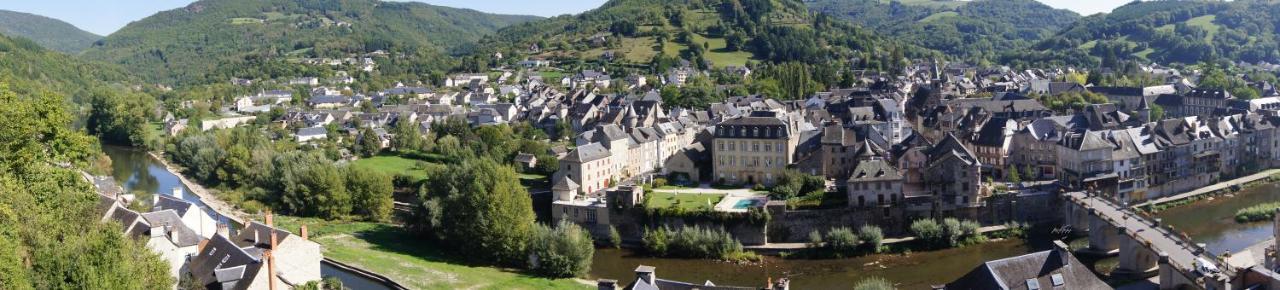 Chateau Ricard Saint-Geniez-dʼOlt Exterior foto